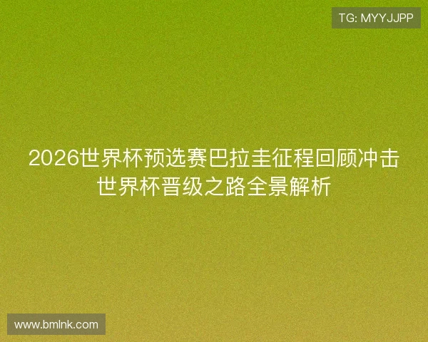 2026世界杯预选赛巴拉圭征程回顾冲击世界杯晋级之路全景解析
